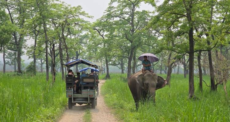 Safari dans la jungle de Chitwan - Approved Holidays Pvt. Ltd. 3