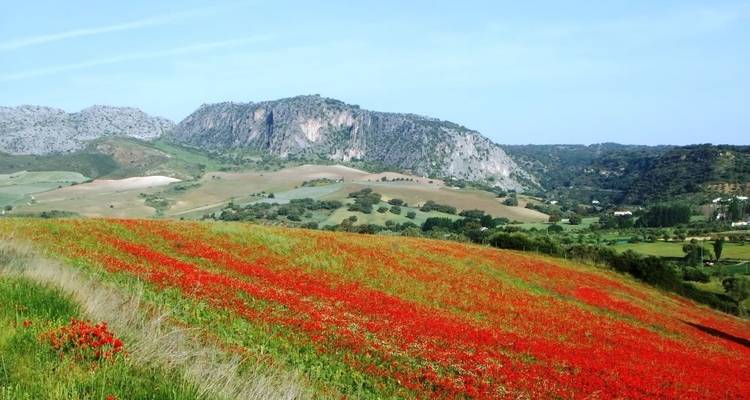 La Rioja - La descente de l'Èbre - Circuit cycliste autoguidé - IberoCycle Tours 1