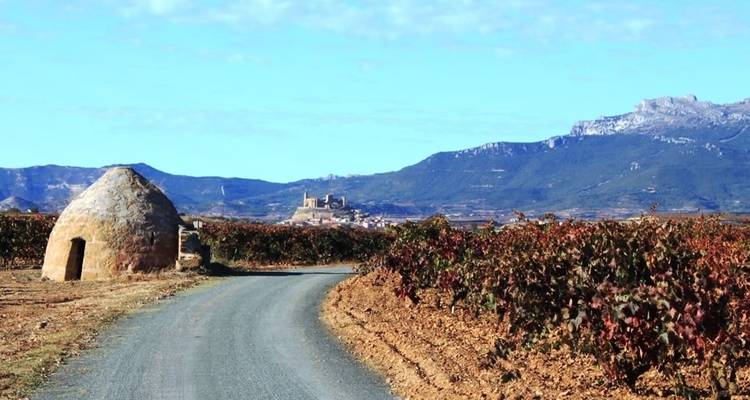 La Rioja - La descente de l'Èbre - Circuit cycliste autoguidé - IberoCycle Tours 4