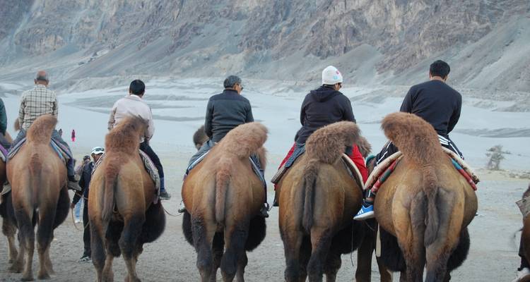 Grupo de personas montando camellos en un entorno desértico.