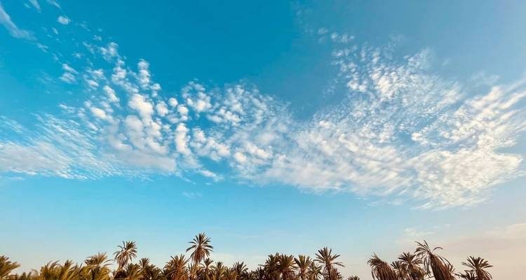 Egyptian Treasures: 7 Day Journey from Pyramids to Siwa Oasis - Itaca Holiday 10