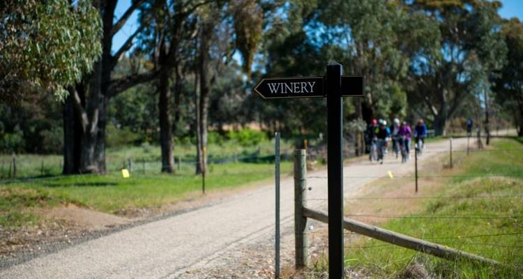 Tour de North East Victoria - Active (Guided) - Tour de Vines 4