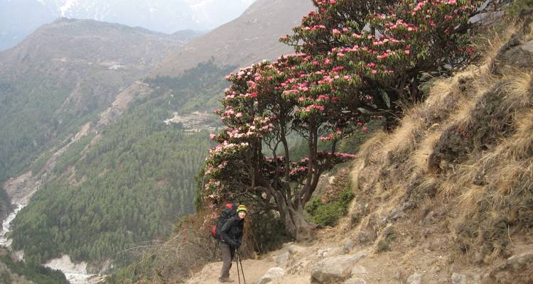Caminata Lumba Sumba 15 días - Nepal Nomad Trekking Pvt. Ltd. 7