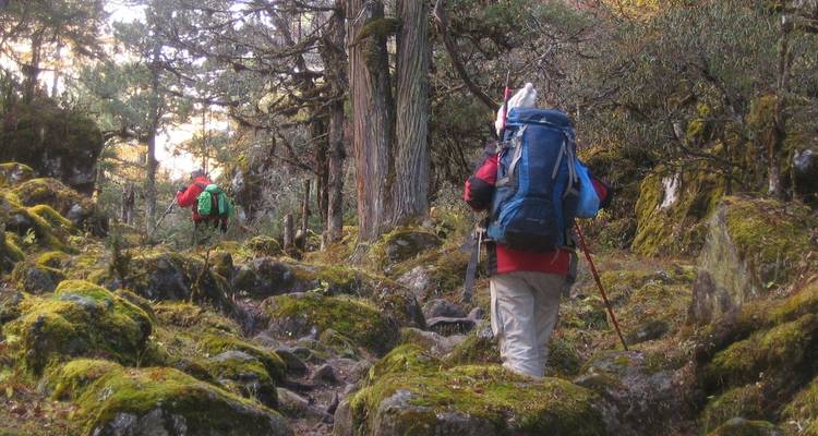 Caminata Lumba Sumba 15 días - Nepal Nomad Trekking Pvt. Ltd. 1