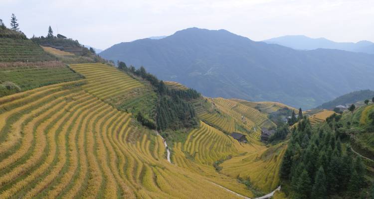 3 Days Highlight Tour in Guilin - China Educational Tours 6