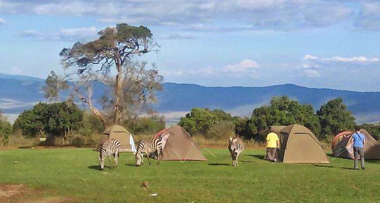 Safari de 3 días por Tanzania - Viola tours & travel 1