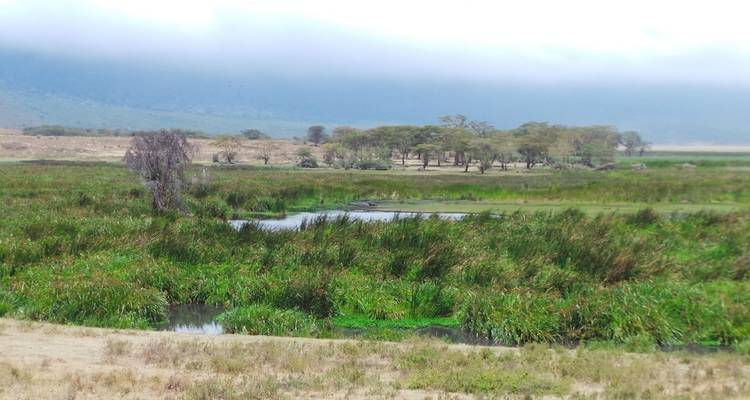 Safari de 3 días por Tanzania - Viola tours & travel 3