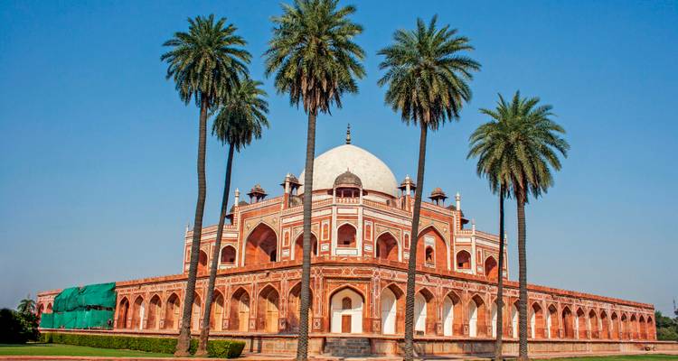 Het mausoleum van Humayun omgeven door hoge palmbomen onder een heldere blauwe Delhi hemel.