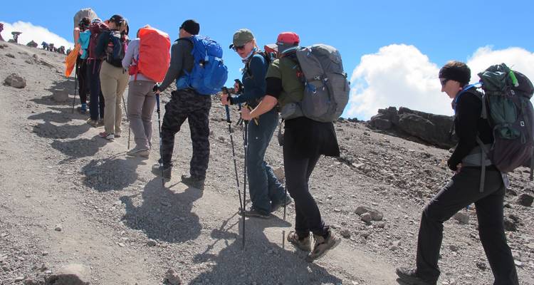 Escalade du Kilimandjaro - Route Lemosho
 - Kilimanjaro Trekking Mate 3