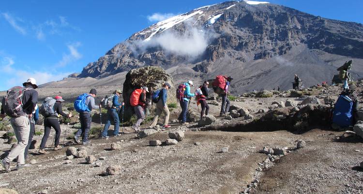 Escalade du Kilimandjaro - Route Lemosho
 - Kilimanjaro Trekking Mate 8