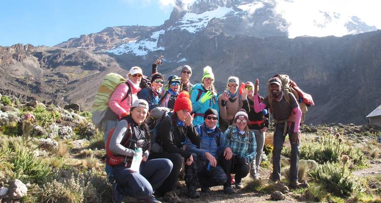 Escalade du Kilimandjaro - Route Lemosho
 - Kilimanjaro Trekking Mate 9