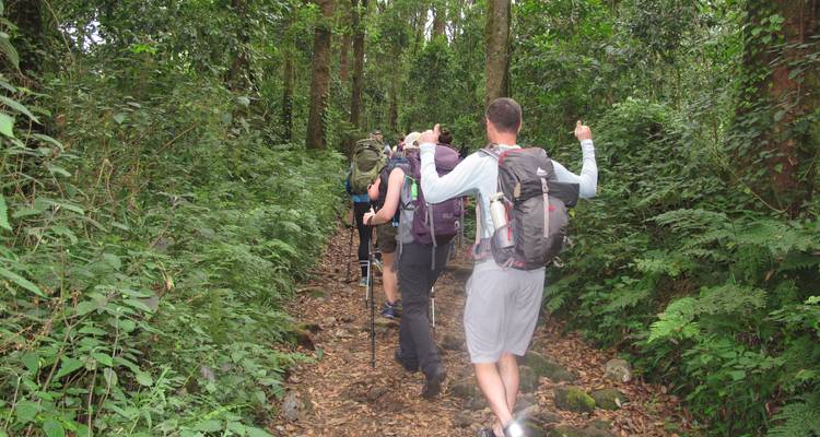 Escalada al Kilimanjaro - ruta Rongai - Kilimanjaro Trekking Mate 7