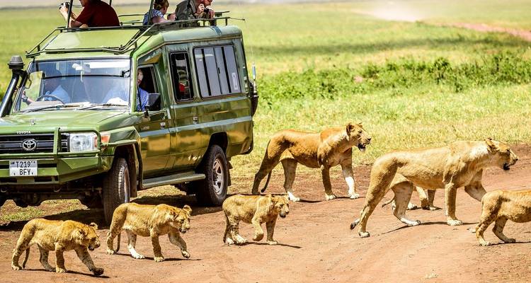 TANZANIA – Serengeti Ngorongoro Safari with Zanzibar - Bucket List Group Travel LLC 7