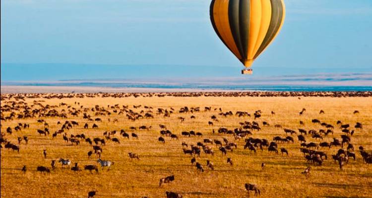 La grande migration en Tanzanie - safari moyen de gamme - Kilimanjaro Trekking Mate 3