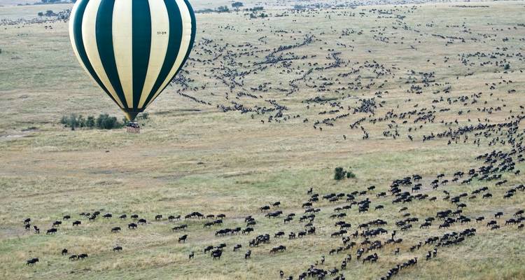 La gran migración de los ñus y safari privado en globo aerostático - Kilimanjaro Trekking Mate 2