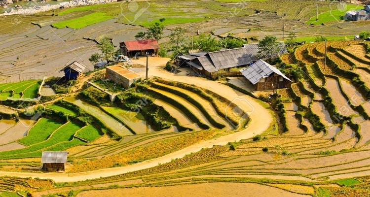 Vista aérea de terrazas de arroz con casas pequeñas.
