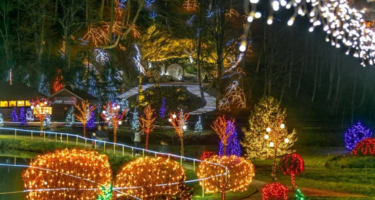 Croatia Christmas Special - City combos Zagreb & Plitvice Lakes - Traveljaz 9