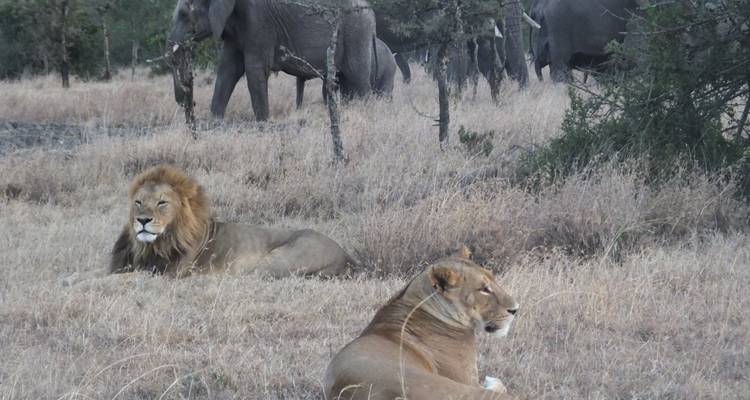 Safari de 5 días en Tanzania - All Time Safaris Ltd 7
