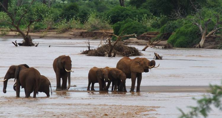 Safari de 5 días en Tanzania - All Time Safaris Ltd 10