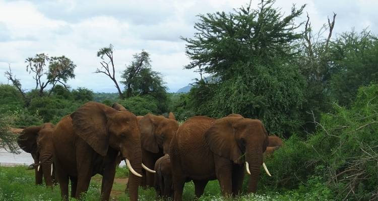 Safari de 5 días en Tanzania - All Time Safaris Ltd 4