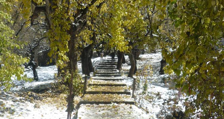 Excursión al Alto Mustang - Asian Heritage Treks & Expeditions 8