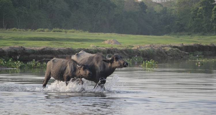 Paradis du Népal - Asian Heritage Treks & Expeditions 8