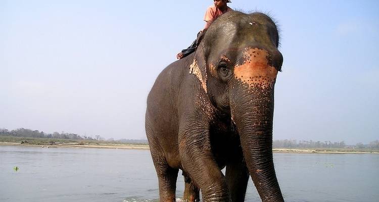 Ghorepani Poon Hill et Chitwan Jungle Safari 7 Nuits 8 Jours - Nepal Lion Tours & Treks Pvt Ltd.  6