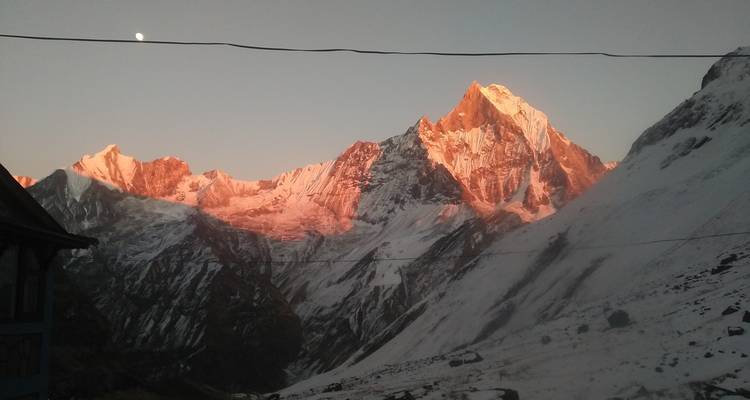 Excursionismo en campamento base del Annapurna - 14 días - White Hill Adventure Treks and Expedition Pvt Ltd 2