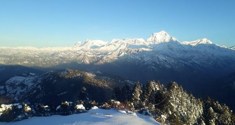 Ghorepani Poonhill Trek - World Himalayan Destination Pvt Ltd 6