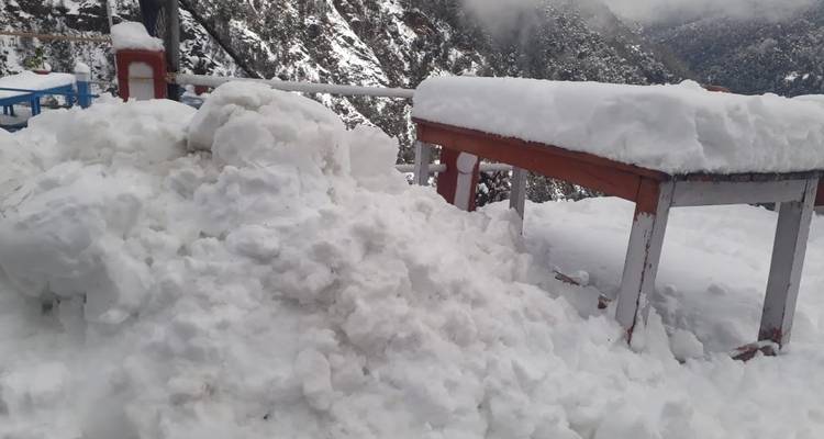 Ghorepani Poonhill Trek - World Himalayan Destination Pvt Ltd 9