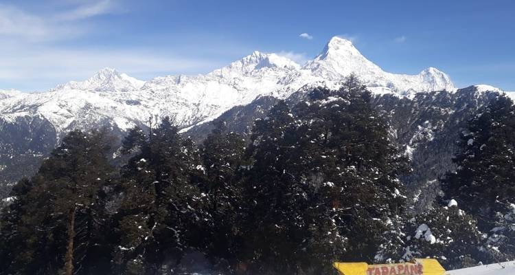 Ghorepani Poonhill Trek - World Himalayan Destination Pvt Ltd 7