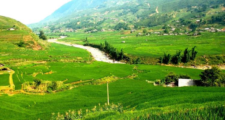 Verdant rice terraces in a mountainous landscape.

Translation to German:

Grüne Reisterrassen in einer bergigen Landschaft.