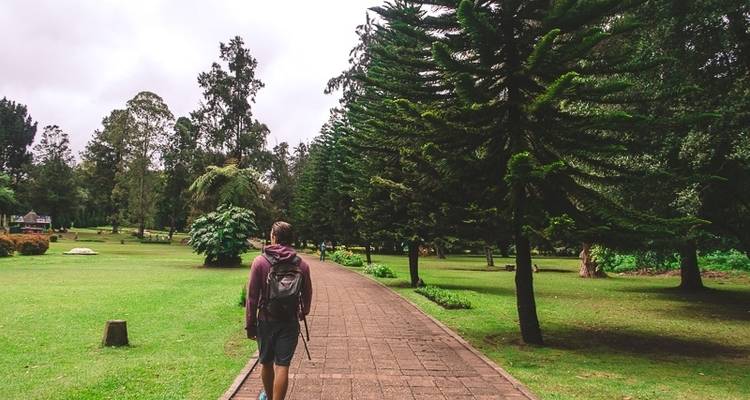 Luna de miel romántica de 9 días en Sri Lanka - Beyond Escapes 9