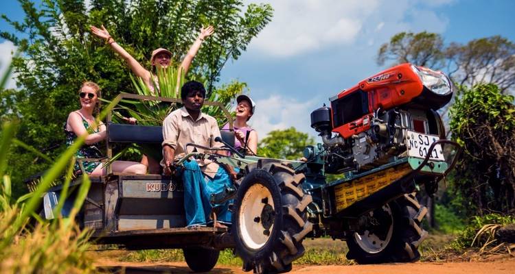 Luna de miel romántica de 9 días en Sri Lanka - Beyond Escapes 1