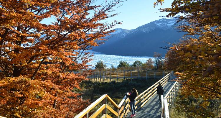 Glaciers and Torres del Paine. El Calafate to Punta Arenas (5 Days) - Hi Travel Argentina 6