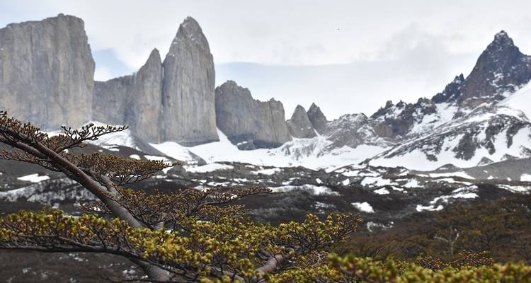 La fin du monde - 7 nuits - Hi Travel Argentina 6