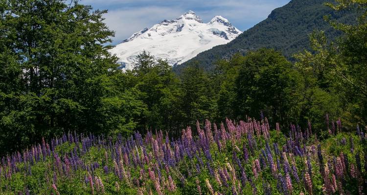 Buenos Aires y Bariloche con poco presupuesto - 8 días - Hi Travel Argentina 8