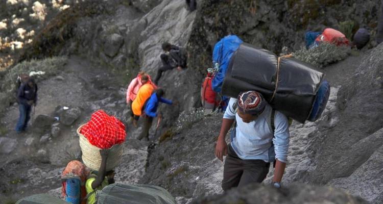 6 días 5 noches ascenso al Kilimanjaro por la ruta Rongai - Perfect Wilderness Tours And Safaris 3