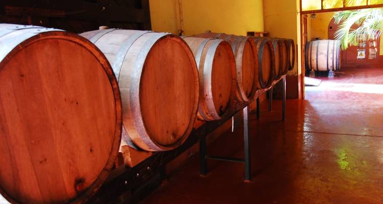 Buenos Aires y Mendoza con un presupuesto - 7 noches - Hi Travel Argentina 8