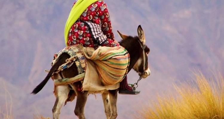 Circuit privé dans le désert de Marrakech à Fès - Camp de luxe - Cultural Morocco Tours 4