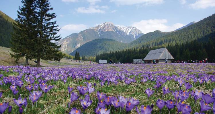 Best of Central Europe - Intrepid Travel 6