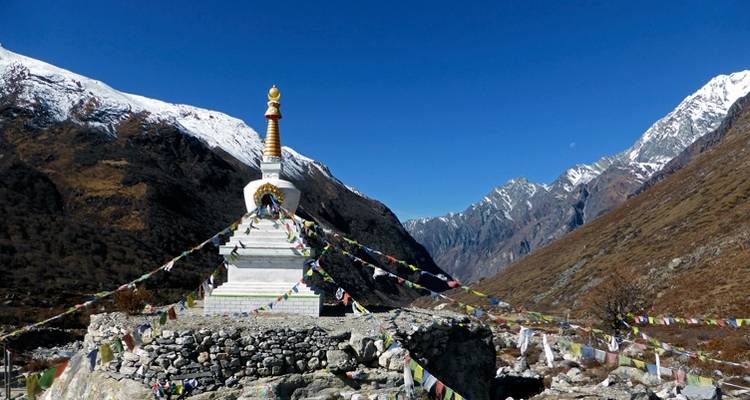 Langtang Valley Trek - Mosaic Adventure 1