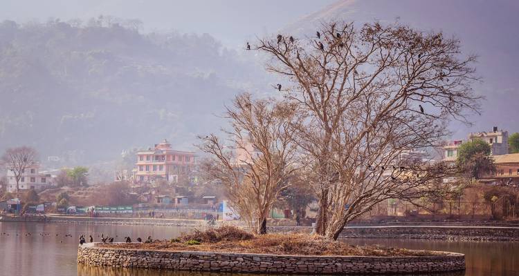 Langtang Valley Trek - Mosaic Adventure 4
