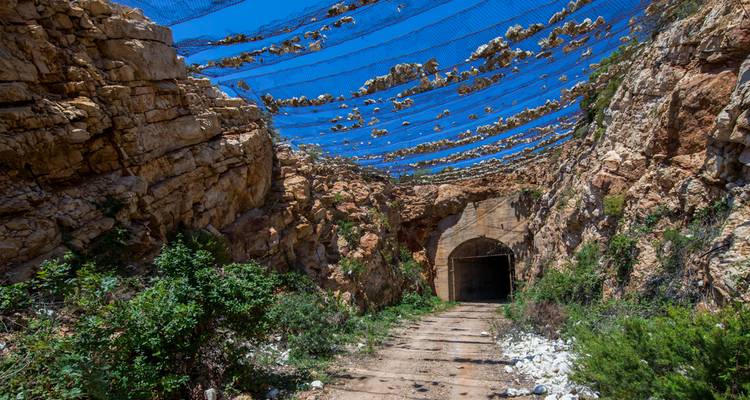 Felsiger Tunnel mit Netzabdeckung.