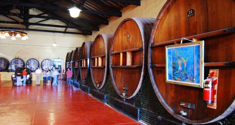 Personas dentro de una bodega con grandes barriles de madera.
