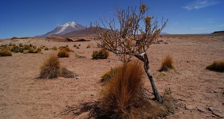 Route terrestre de San Pedro de Atacama à Uyuni et La Paz - 6 nuits - de Calama à La Paz - Hi Travel Argentina 9