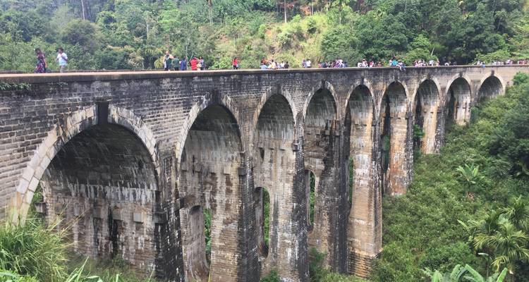 Circuito clásico descubierto Sri Lanka - Sri Lanka Vacation Tours 6