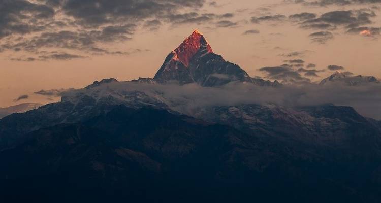 Trek sur la crête de Khopra - Nepal Lion Tours & Treks Pvt Ltd.  4