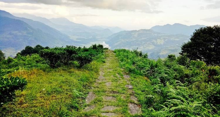 Ein Pfad durch eine üppige Landschaft mit fernen Bergen.