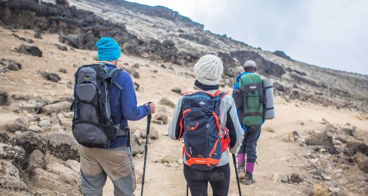 6 Days 5 Nights Climbing Mt Kilimanjaro via Lemosho Route - Perfect Wilderness Tours And Safaris 1